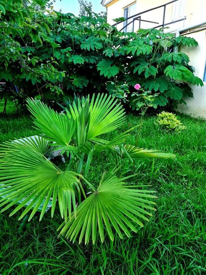 Private House Suliko Hotel Kobuleti Luaran gambar